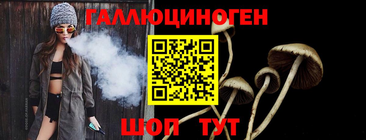 Галлюциногенные грибы Psilocybine cubensis  Вход с VPN  Галлюциногенные грибы прущие грибы  Нефтекамск 